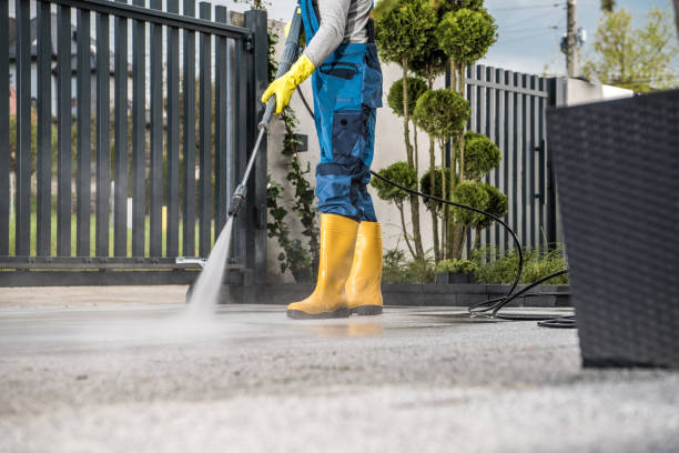 Animal Enclosure Cleaning in East Aurora, NY